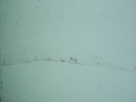 03202006 (1)